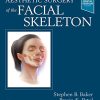 Aesthetic Surgery of the Facial Skeleton (Original PDF from Publisher)