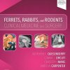 Ferrets, Rabbits, and Rodents: Clinical Medicine and Surgery, 4th Edition (Original PDF from Publisher)