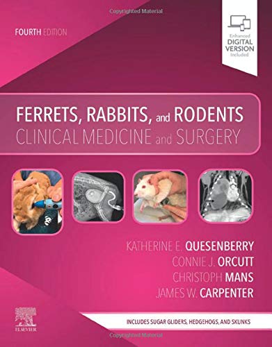 Ferrets, Rabbits, and Rodents: Clinical Medicine and Surgery, 4th Edition (Original PDF from Publisher)