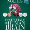 Nolte’s Essentials of the Human Brain, 2e (Original PDF from Publisher)