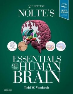 Nolte’s Essentials of the Human Brain, 2e (Original PDF from Publisher)