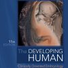 The Developing Human: Clinically Oriented Embryology, 11th Edition (True PDF from Publisher)
