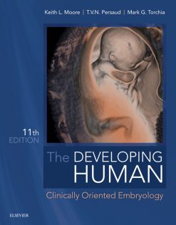 The Developing Human: Clinically Oriented Embryology, 11th Edition (True PDF from Publisher)