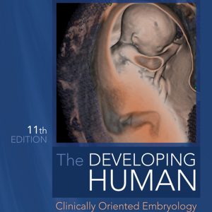 The Developing Human: Clinically Oriented Embryology, 11th Edition (True PDF from Publisher)