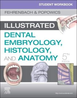 Student Workbook for Illustrated Dental Embryology, Histology and Anatomy, 5e (Original PDF from Publisher)