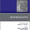 Neuromodulation, An Issue of Psychiatric Clinics of North America (Volume 41-3) (The Clinics: Internal Medicine, Volume 41-3) (Original PDF from Publisher)