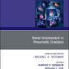 Renal Involvement in Rheumatic Diseases, An Issue of Rheumatic Disease Clinics of North America (Volume 44-4) (The Clinics: Internal Medicine, Volume 44-4) (Original PDF from Publisher)