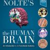 Nolte’s The Human Brain: An Introduction to its Functional Anatomy, 8th Edition (Original PDF from Publisher)