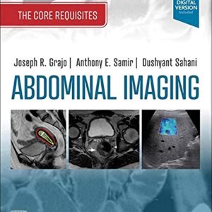 Abdominal Imaging: The Core Requisites (EPUB)
