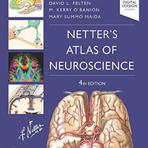 Netter’s Atlas of Neuroscience, 4th Edition (Original PDF from Publisher)