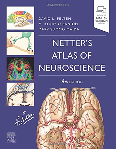 Netter’s Atlas of Neuroscience, 4th Edition (Original PDF from Publisher)