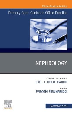Nephrology, An Issue of Primary Care: Clinics in Office Practice (EPUB)