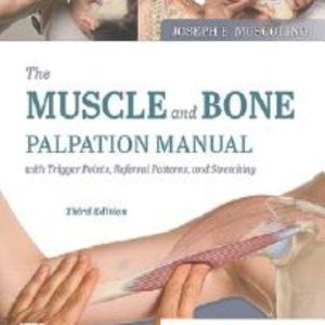 The Muscle and Bone Palpation Manual with Trigger Points, Referral Patterns and Stretching, 3rd edition (Original PDF from Publisher)