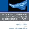 Orthoplastic techniques for lower extremity reconstruction Part 1, An Issue of Clinics in Podiatric Medicine and Surgery (Original PDF from Publisher)