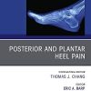 Posterior and plantar heel pain, An Issue of Clinics in Podiatric Medicine and Surgery (Original PDF from Publisher)
