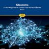 Glaucoma: A Neurodegenerative Disease of the Retina and Beyond Part B (Volume 257) (Progress in Brain Research, Volume 257) (Original PDF from Publisher)
