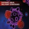 Systemic Drug Delivery Strategies : Volume 2 of Delivery Strategies and Engineering Technologies in Cancer Immunotherapy (Original PDF from Publisher)