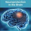 Neuroinflammation, Resolution, and Neuroprotection in the Brain (Original PDF from Publisher)
