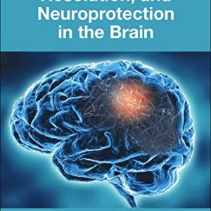 Neuroinflammation, Resolution, and Neuroprotection in the Brain (Original PDF from Publisher)