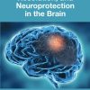 Neuroinflammation, Resolution, and Neuroprotection in the Brain (EPUB)