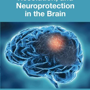 Neuroinflammation, Resolution, and Neuroprotection in the Brain (EPUB)