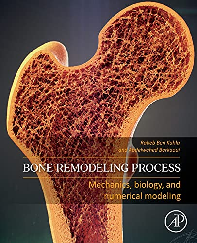 Bone Remodeling Process: Mechanics, Biology, and Numerical Modeling (Original PDF from Publisher)