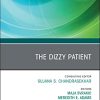 The Dizzy Patient, An Issue of Otolaryngologic Clinics of North America (Volume 54-5) (The Clinics: Surgery, Volume 54-5) (Original PDF from Publisher)