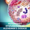 Autophagy Dysfunction in Alzheimer’s Disease and Dementia (Original PDF from Publisher)
