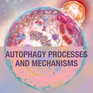 Autophagy Processes and Mechanisms (Original PDF from Publisher)