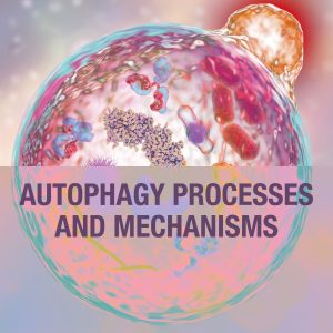 Autophagy Processes and Mechanisms (EPUB)
