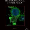 The Immunological Synapse Part A, Volume 173 (Original PDF from Publisher)