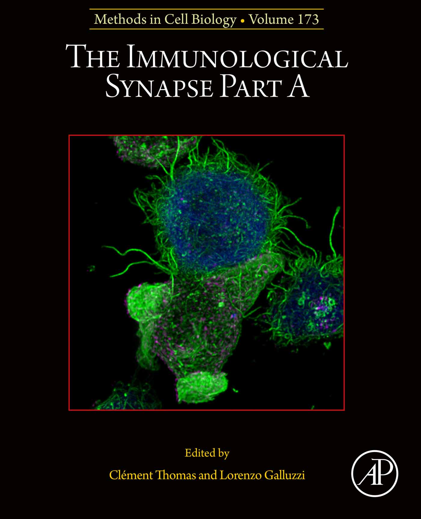 The Immunological Synapse Part A, Volume 173 (Original PDF from Publisher)