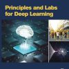 Principles and Labs for Deep Learning (EPUB)