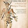 WOUND HEALING, FIBROSIS, AND THE MYOFIBROBLAST: A Historical and Biological Perspective (Original PDF from Publisher)