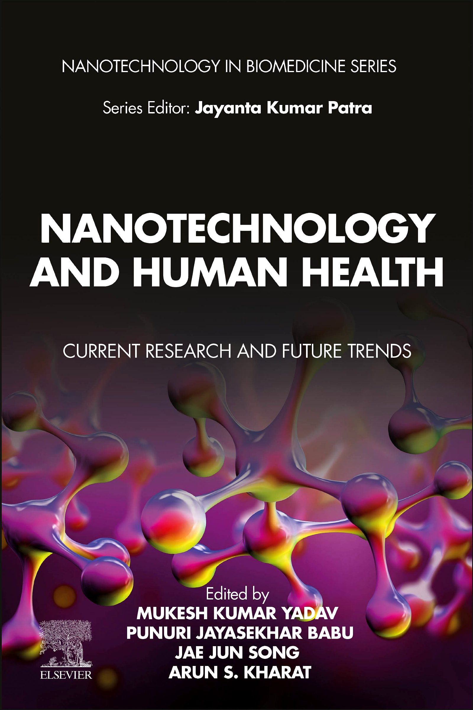 Nanotechnology and Human Health: Current Research and Future Trends (EPUB)