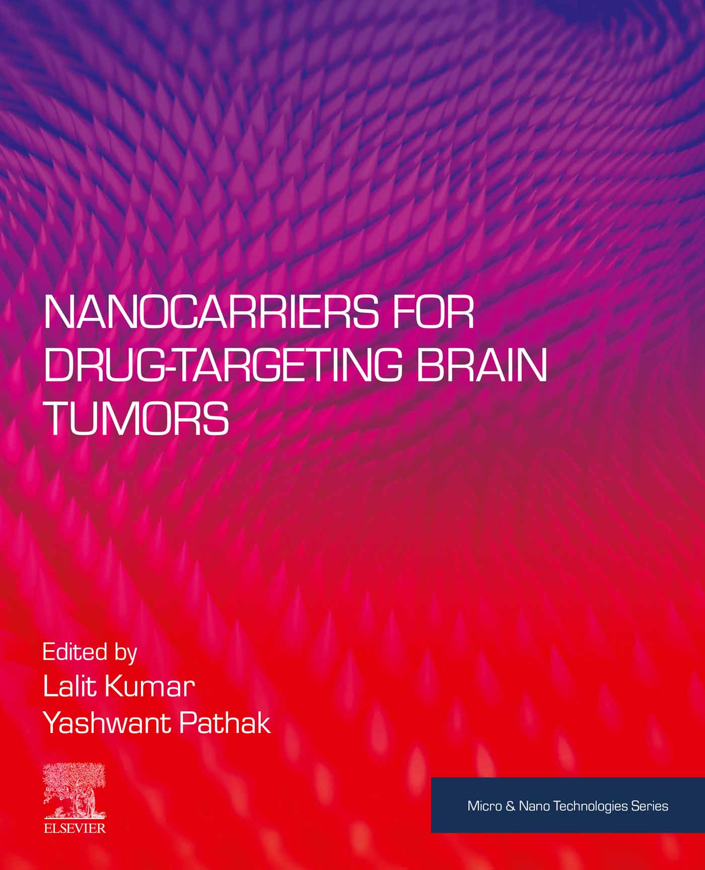 Nanocarriers for Drug-Targeting Brain Tumors (EPUB)