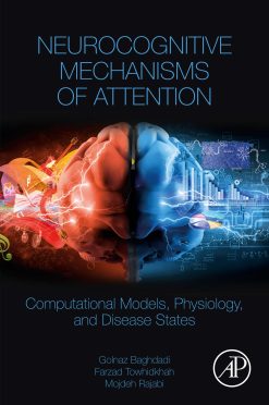 Neurocognitive Mechanisms of Attention: Computational Models, Physiology, and Disease States (EPUB)