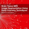 Brain Tumor MRI Image Segmentation Using Deep Learning Techniques (Original PDF from Publisher)