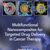 Multifunctional Nanocomposites for Targeted Drug Delivery in Cancer Therapy (EPUB)