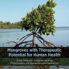 Mangroves with Therapeutic Potential for Human Health: Global Distribution, Ethnopharmacology, Phytochemistry, and Biopharmaceutical Application (Original PDF from Publisher)