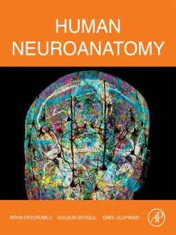 Human Neuroanatomy (Original PDF from Publisher)