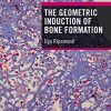 The Geometric Induction of Bone Formation (Original PDF from Publisher)