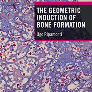 The Geometric Induction of Bone Formation (Original PDF from Publisher)