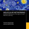 Molecular Networking: Statistical Mechanics in the Age of AI and Machine Learning (Original PDF from Publisher)
