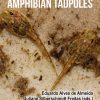 Toxicology of Amphibian Tadpoles (Original PDF from Publisher)