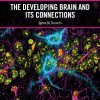 The Developing Brain and its Connections (EPUB)