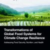 Transformations of Global Food Systems for Climate Change Resilience: Addressing Food Security, Nutrition, and Health (Original PDF from Publisher)