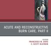Acute and Reconstructive Burn Care, Part II, An Issue of Clinics in Plastic Surgery (True PDF from Publisher)