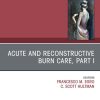 Acute and Reconstructive Burn Care, Part I, An Issue of Clinics in Plastic Surgery (True PDF from Publisher)