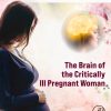 The Brain of the Critically Ill Pregnant Woman (EPUB)